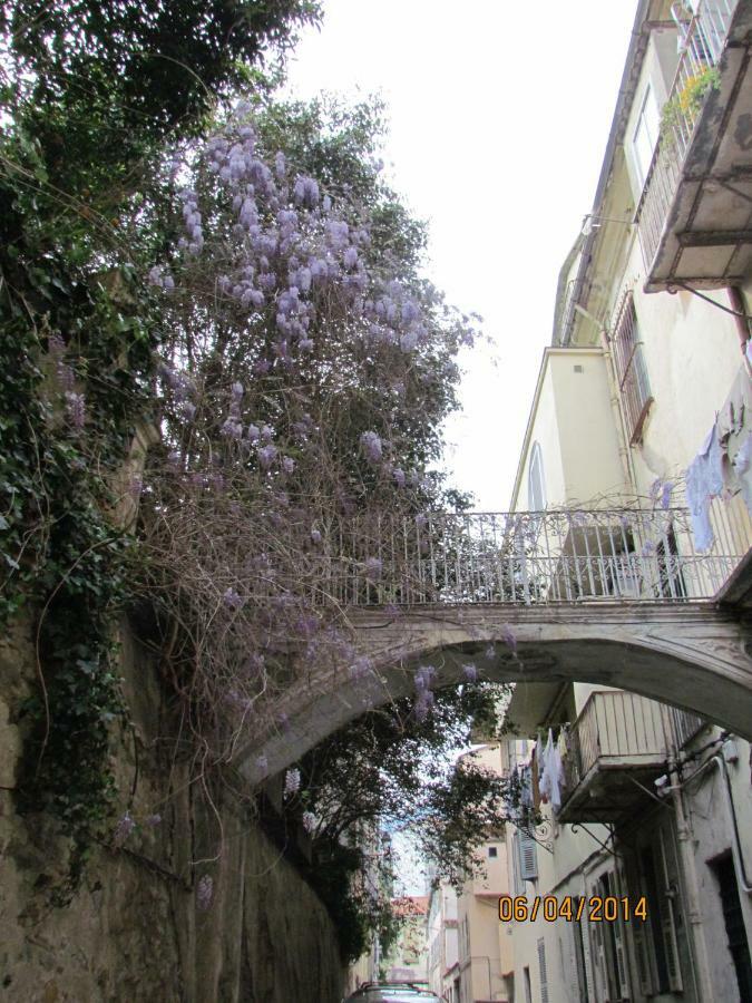 Bastia Au Pied Du Vieux Port Apartment *